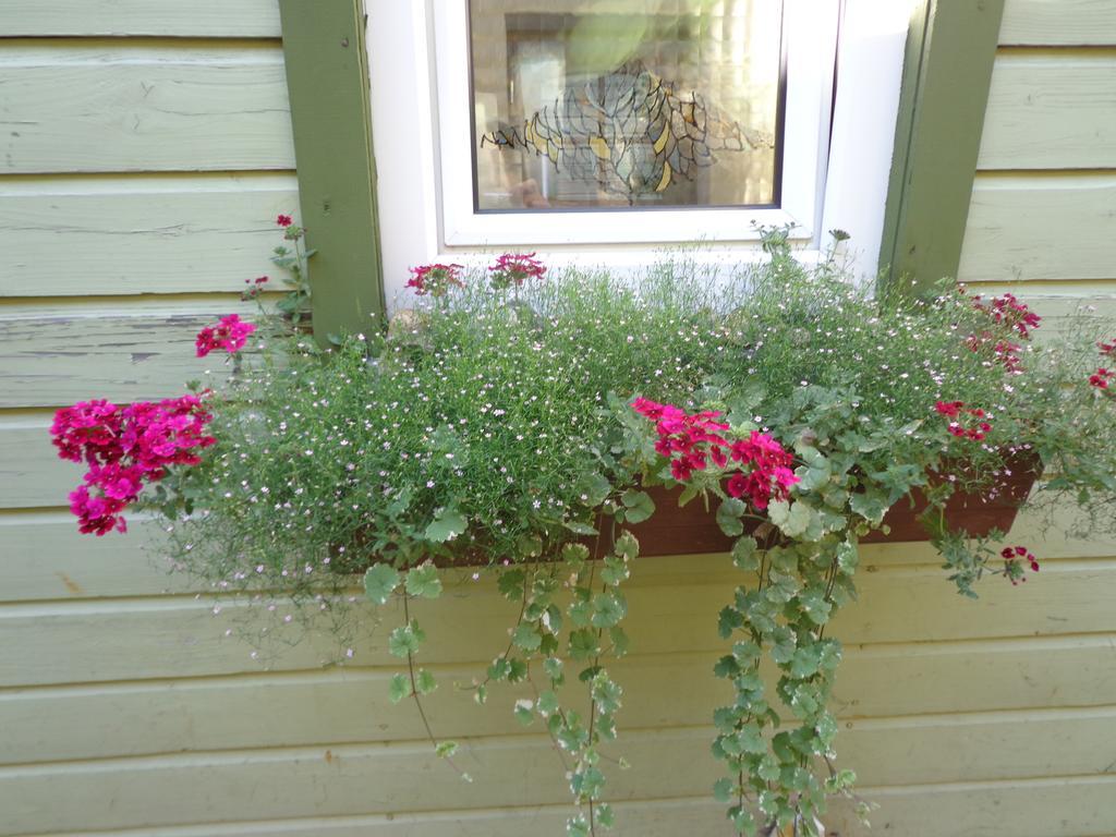 Ferienwohnung Birutes Aleja 20 Palanga Exterior foto